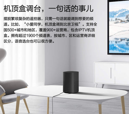 【Xiaomi小米】小愛音箱 萬能遙控版